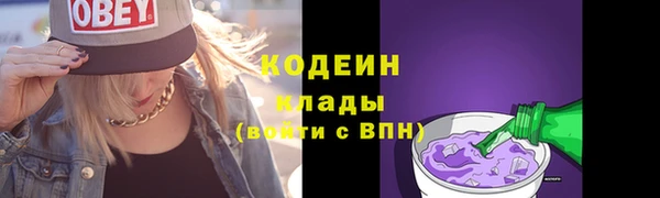 ешки Ельня