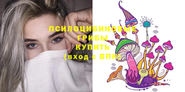 ешки Ельня