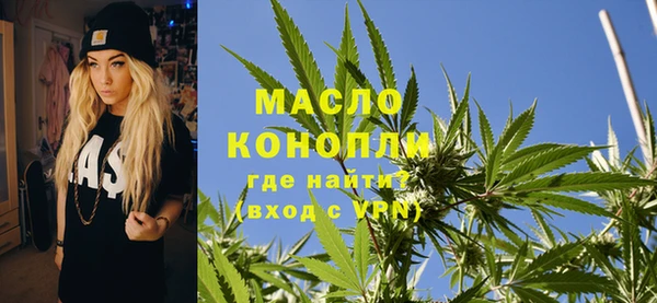 ешки Ельня