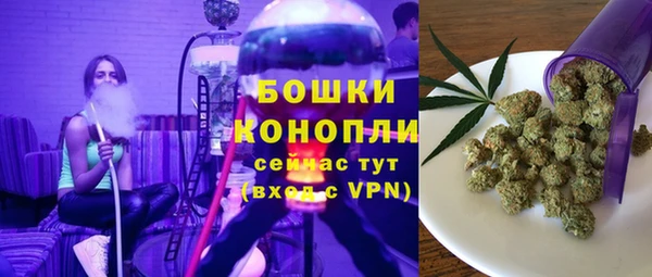 2c-b Елабуга