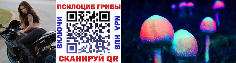 Псилоцибиновые грибы Psilocybine cubensis Луза