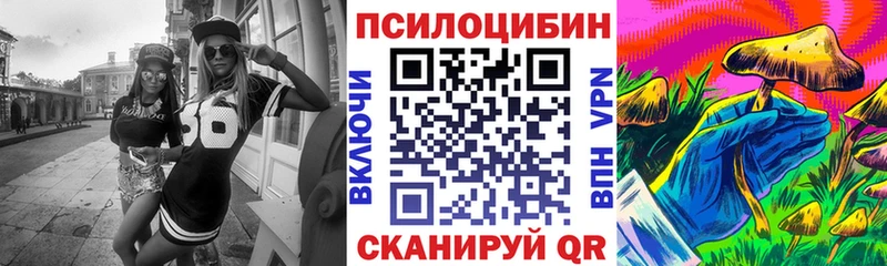 площадка Telegram  Луза  Псилоцибиновые грибы прущие грибы 